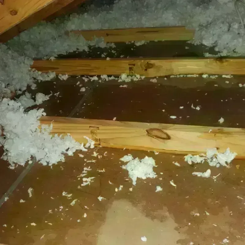 Attic Water Damage in New City, NY