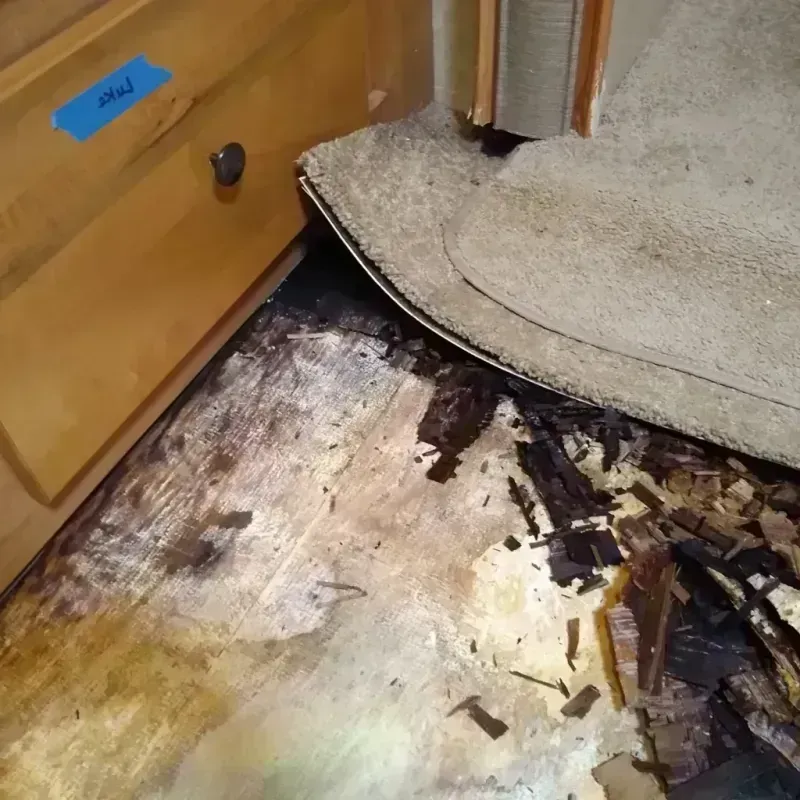 Wood Floor Water Damage in New City, NY